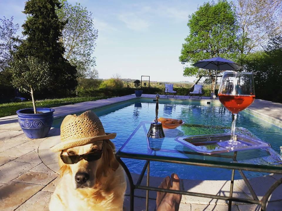 Domaine Du Merlot Sainte-Sabine-Born Bagian luar foto