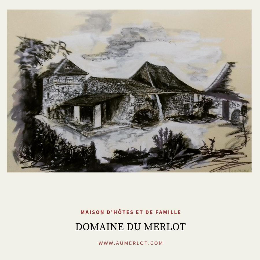 Domaine Du Merlot Sainte-Sabine-Born Bagian luar foto